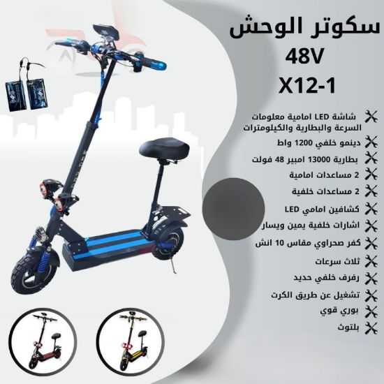 صورة سكوتر الوحش 48V مع شاشة LED